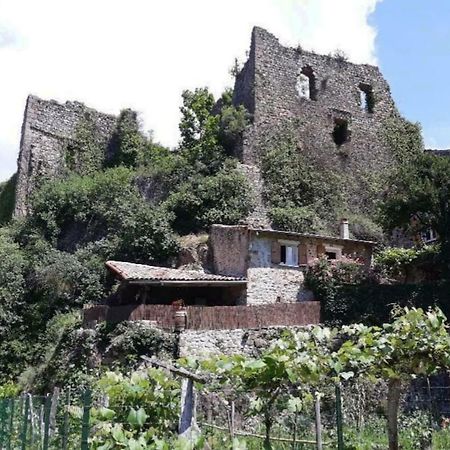Gite Du Chateau De Retourtour لاماستر المظهر الخارجي الصورة